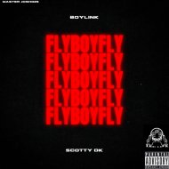 BoyLink & Scotty DK - Noches Largas