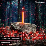 Aaron Kruk & MDFlameZ - Fireflowers