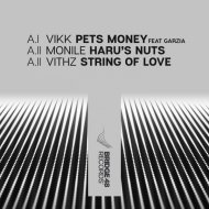 VIKk (Italy) ft Garzia - Pets Money