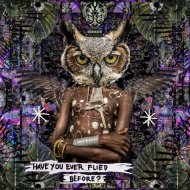 Pixie Trap - Sidi Wassay Tribe