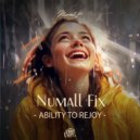 Numall Fix - Ability to rejoy (Original Mix)