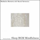 Sleep BGM Mindfulness - Swept Away to Dreams by the Gentle Sounds of Neural Resonance (Original Mix)