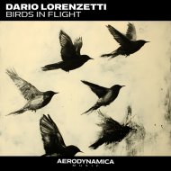 Dario Lorenzetti - Birds in Flight