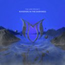 The Lima Project - Whispers In The Darkness (Extended Mix)
