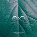 Bjarne Hendrik - I Adore You (Original Mix)