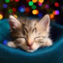 Gatos cascabeleo & Sonidos de lluvia y naturaleza & Suave Música para la Cena Familiar - Calma Profunda Para Gatitos