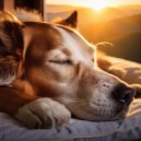 Biblioteca de Música Para Mascotas & Maestro de lo-fi cósmico & Gnees primeras ondas - Felicidad Lofi Para Perros